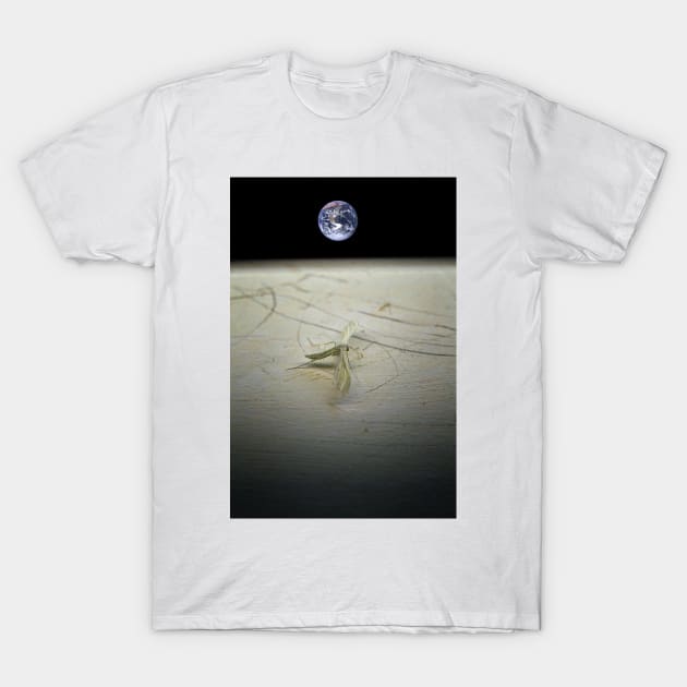 Lunar Lander T-Shirt by Nigdaw